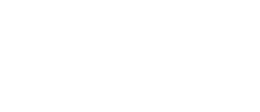 Mizumi Sushi